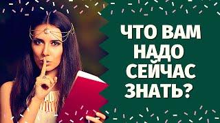 СОВЕТ ВЫСШИХ СИЛ! ЧТО ВАМ НАДО ЗНАТЬ ПРЯМО СЕЙЧАС? ЭТО ПОМОЖЕТ ВАМ! ЧТО ГОТОВИТ ВАМ СУДЬБА?