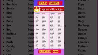 Singular And Plural | Learn English #shorts #trending