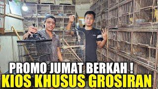 BIKIN GEMPAR ! RATUSAN BURUNG GROSIRAN DIJUAL MURAH HARI INI HARGA COCOK BUAT JUAL LAGI