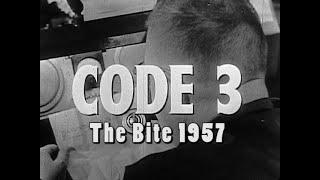 Code 3 The Bite 1957.  Rabid dog bites good Samaritan during robbery, avoids police at all costs.