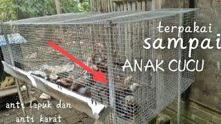 CARA GANTI KAKI BOX ANAK AYAM