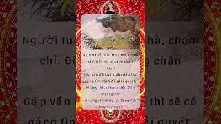 Hạt Giống Tâm Hồn - Những Câu Nói Hay, Giá Trị Nhân Văn, Suy Ngẫm Cuộc Sống #Podcast #bàihọccuộcsống
