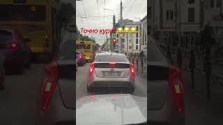 Точно курят 