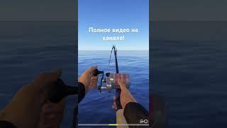 Редкий трофей. Сайра на Норвежском море #rr4 #сайра #норвежскоеморе #русскаярыбалка4