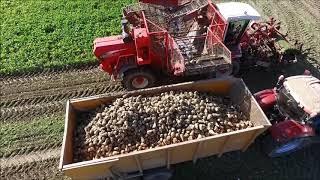 Suikerbieten rooien / Sugar Beet Harvest / Zuckerrüben ernte / Vervaet Beet Eater / Bietenoogst