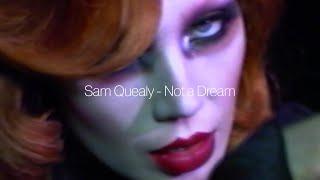 Sam Quealy - Not A Dream (visualizer)