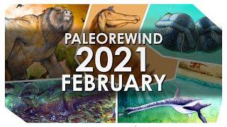 Paleo Rewind 2021 - February PT 1