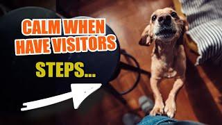 ¿How to CALM your DOG when you have VISITORS? 