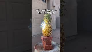 Solar Death Ray vs pineapple #fruit #physics #experiment #sun