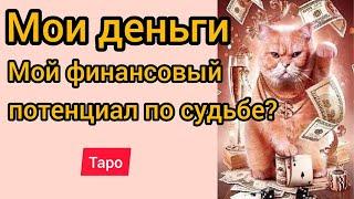 ЧТО ПО СУДЬБЕ? МОИ ДЕНЬГИ? МОЙ ФИНАНСОВЫЙ ПОТЕНЦИАЛ | Таро онлайн | Расклад Таро | Гадание онлайн