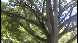 raid relativity theory: perspective 15