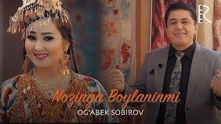 Og'abek Sobirov - Nozinga Boylaninmi | Огабек Собиров - Нозинга Бойланинми