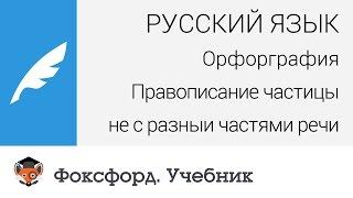 Русский язык. Правописание частицы "не" с разными частями речи. Центр онлайн-обучения «Фоксфорд»