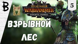 Total War: Warhammer 3 Икит Клешня, Клан Скрайр #5 "Взрывной Лес"