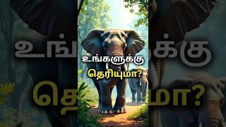 Amazing Facts About Elephants in Tamil #shorts #elephant #elephantfact #factsshorts #animalfacts