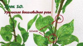 Бокаловидная роза.  Урок 10 - Шипы / Cup-shaped rose. Lesson 10 - Thorns