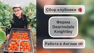 Сбор клубники | Вся правда! | Ферма Dearnsdale Knightley |  РАБОТА В АНГЛИИ