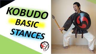10 KOBUDO BASIC STANCES(Ryukyu Kobudo) by Kohji Katoh