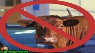 [YTP] THERE'S NO BULL IN THIS YOUTUBE POOP