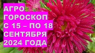 Агрогороскоп с 15 по 18 сентября 2024 года Agrohoroscope from September 15 to September 18, 2024