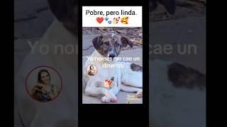 ️Up-to-date manicure.#love #pets #doglover #dogs #god #god #dog #dogshorts