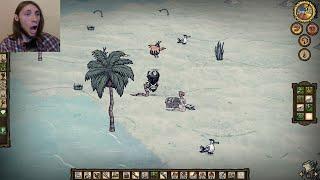 Don't Starve Shipwrecked - Клад!