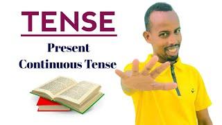 Present Continuous Tense