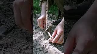 trap #bushcraft #trap #survival