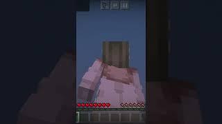 Cool Minecraft Trick With Cool Minecraft Montage!