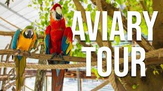 Exotic Birds Aviary Tour: Macaws & More