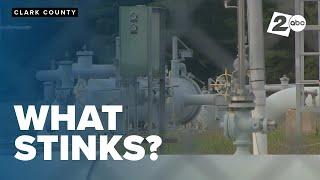 Clark County, Washington plagued with mysterious stink