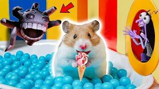 Hamster's Pro Escape! Ice Cream Delight And The Grumble's PlotHAMSTER OBSTACLE COURSEHammyHappyTDC