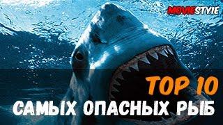 Топ 10 самых опасных рыб в мире