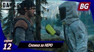 ЖИЗНЬ ПОСЛЕ (Days Gone)  Прохождение #12  Слежка за НЕРО