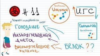 #11 Инсулин\глюкагон соотношение: анаболизм или катаболизм?