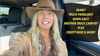 NEW TRUCK CAMPER? GOING EAST? BEARS? + Creepy Bugs & More!  Answering YOUR questions from the road