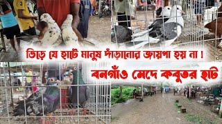 মেদে পায়রা হাট 26:09:2024 || Mede Payra Hat || Mede Pigeon Market  | ভারী বর্ষায় কেমন দাম চলছে️