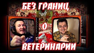 Без Границ о Ветеринарии. Ветеринар - это врач или бизнесмен?