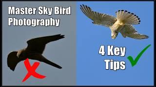 Master Bird Photography: 4 Essential Tips for Sky Backgrounds.