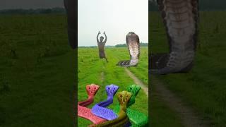 Kamakhya Devi snake aya hara hara Shambhu#Bachalo masan baba#kedarnath#Vfxshrot#vdeio