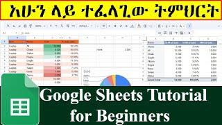 Google Sheets Tutorial for Beginners / Google sheet in Amharic / በጣም ወሳኝ