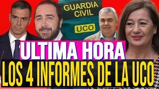URGENTE 4 INFORMES más de la UCO El Tribuno de Rafa Fernández