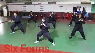 six Forms / Wushu