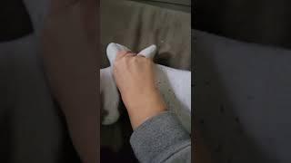 feet worship