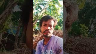 kamal hansda official