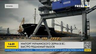 Импорт украинского зерна в ЕС: как Украина решит проблему экспорта