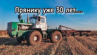 ПРЯНИКУ 30 ЛЕТ.... ЗАВОДИМ НАШЕГО СТАРОГО ПЕРДУНА