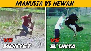 KOCAK!! Kumpulan Video Manusia Vs Hewan