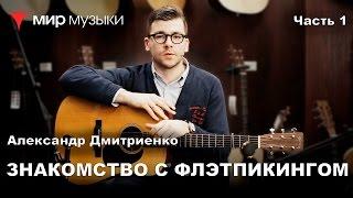 Александр Дмитриенко. Знакомство с флэтпикингом. (Гитары Martin)