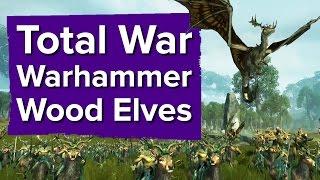 5 minutes of Total War: Warhammer Wood Elves Gameplay